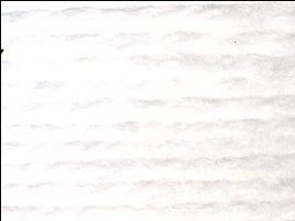 #251 - White